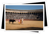 sevilla bullring