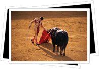 bullfight