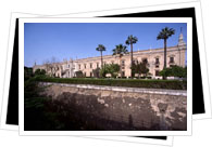 university sevilla