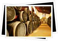 wine barrels