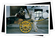 horse carriage